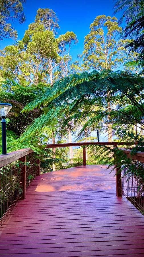 Melbourne Topview Villa In Dandenong Ranges Near Skyhigh Kalorama Exterior photo