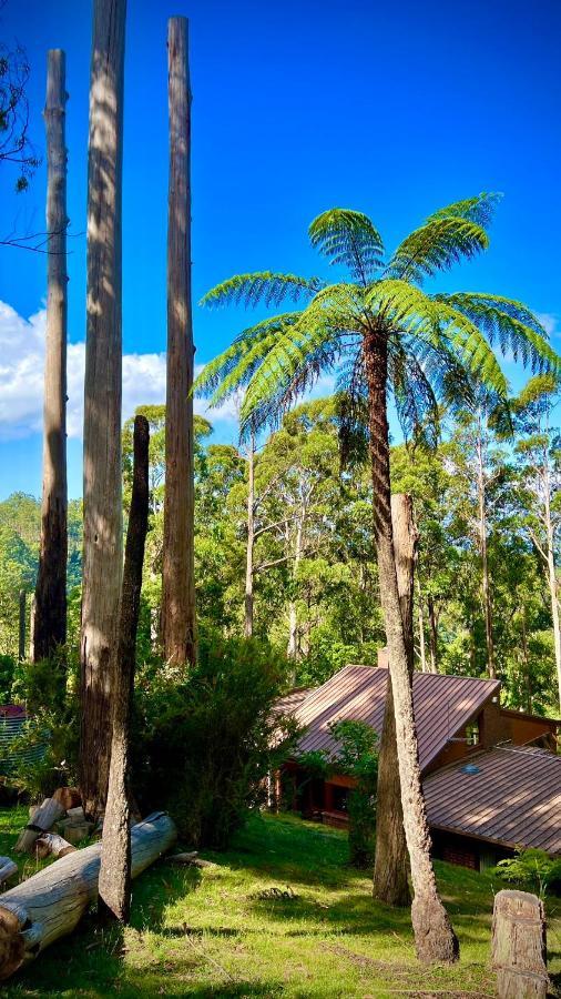 Melbourne Topview Villa In Dandenong Ranges Near Skyhigh Kalorama Exterior photo
