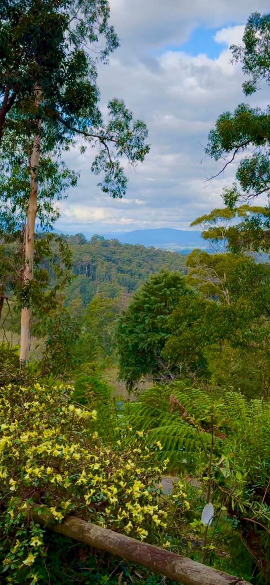 Melbourne Topview Villa In Dandenong Ranges Near Skyhigh Kalorama Exterior photo
