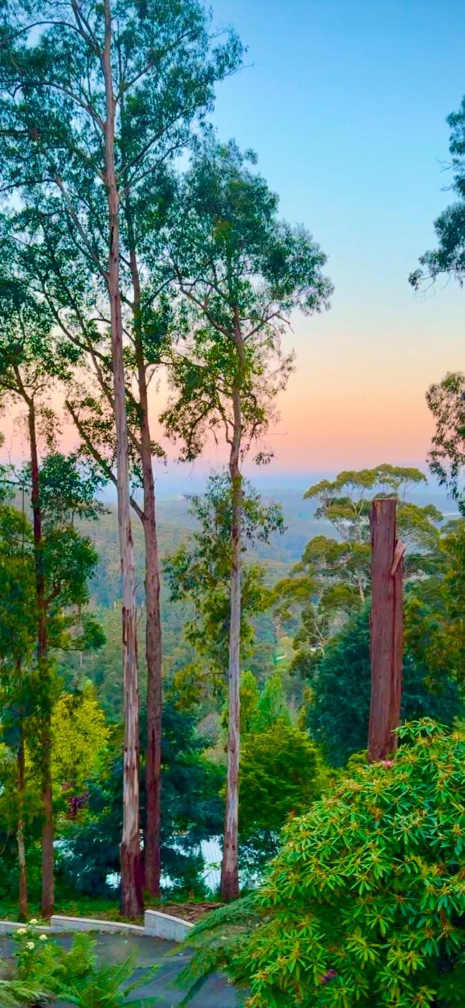 Melbourne Topview Villa In Dandenong Ranges Near Skyhigh Kalorama Exterior photo